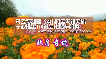 开云移动端_24小时全天候无休 宁波推出114社会化移车服务(图1) 开云移动端