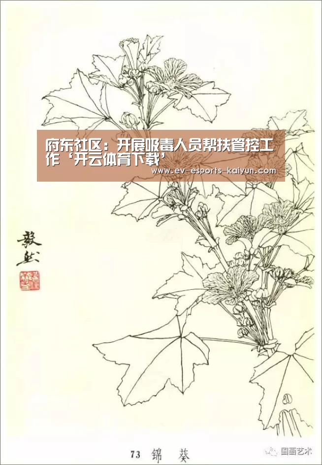 开云体育下载