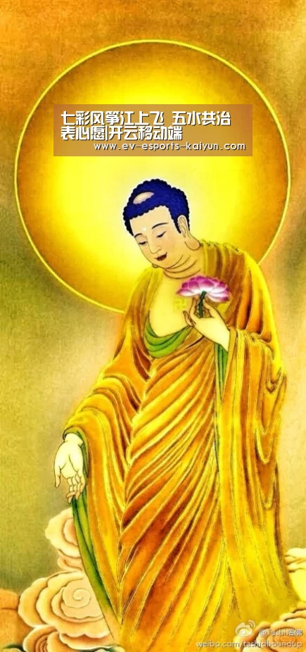 开云全站下载
