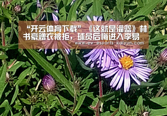 开云体育下载